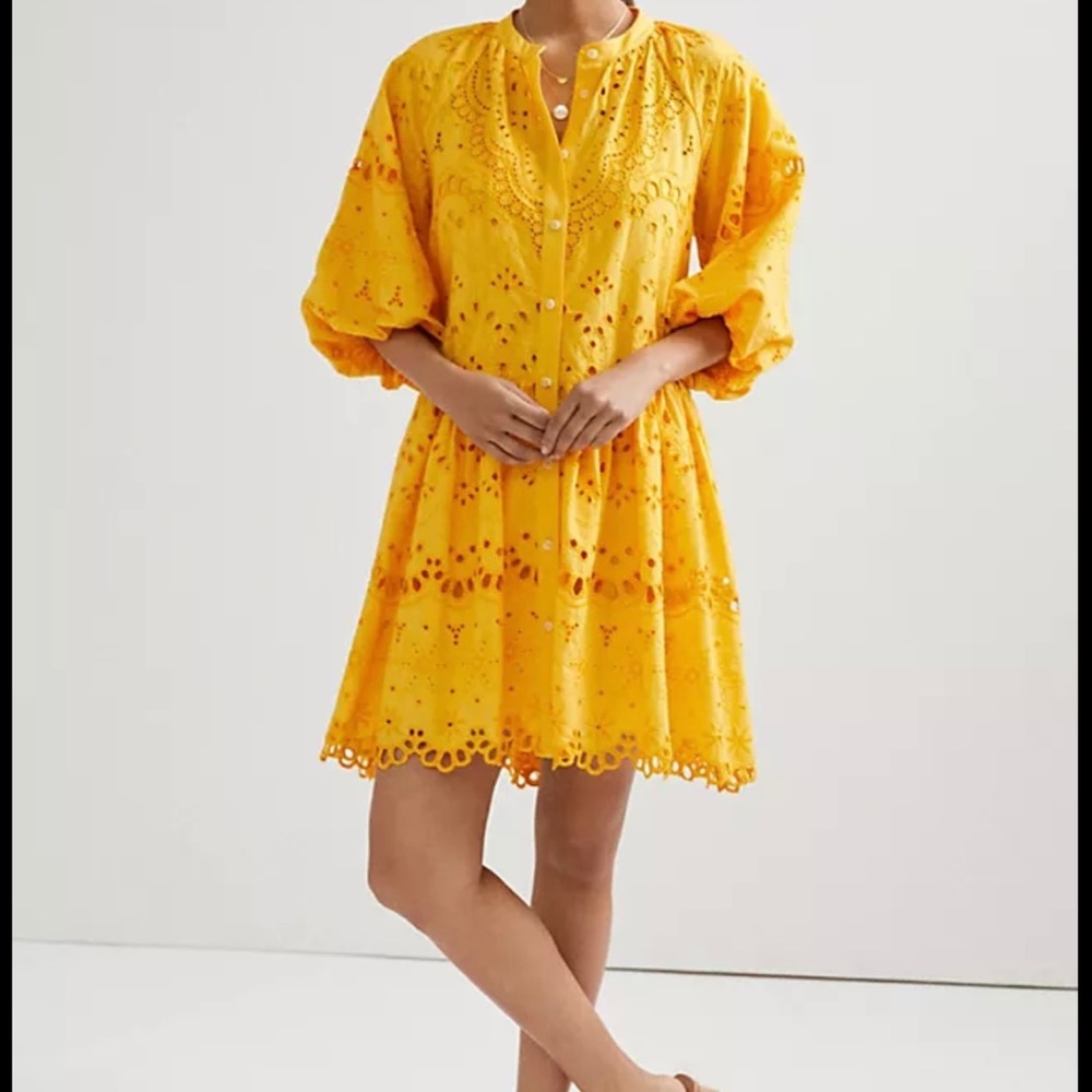 Anthropologie tallulah eyelet mini dress